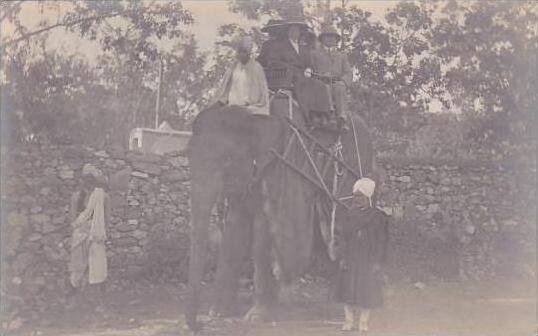 India People Riding On Elephants British Colonial era Real Photo