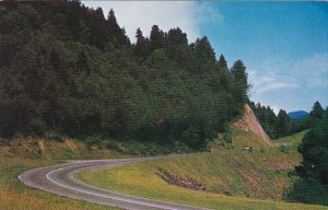 U S Highway 441 In The Great Smoky Mountains National Park