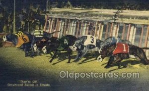 Greyhounds, FL USA Dog Racing, 1956 light postal marking on front, postal use...