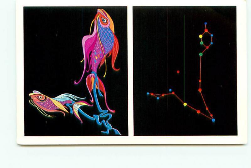 Postcard Constellation Pices the Fish Great Square of Pegasus Stars   # 3077A