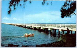 Postcard -  A favorite sport on Tampa Bay, Gandy Bridge - Florida