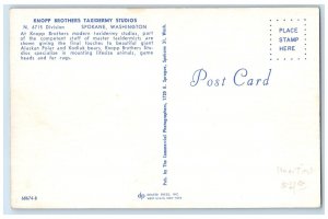 c1960's Knopp Brothers Taxidermy Studios Spokane Washington WA Unposted Postcard