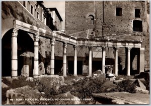 Roma Portico Del Tempio Degli Consenti Romano Italy Real Photo RPPC Postcard