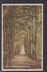 Sussex Postcard - The Monks Walk, Battle Abbey   T10151