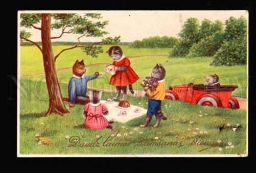 047580 Dressed KITTENS Picnic TEA CEREMONY vintage color PC