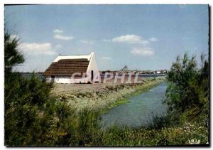 Postcard With The Modern Camargue herdsmen Pres Marsh blanchee a whole cabin