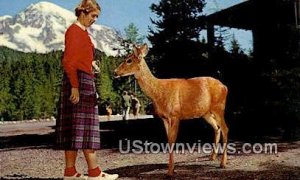 Red Deer - Mt. Rainier National Park, Washington