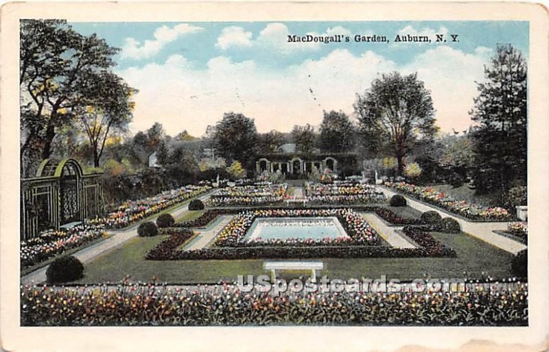MacDougall's Garden - Auburn, New York