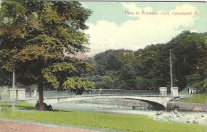 1912 View in Brookside Park, Cleveland, Ohio Postcard