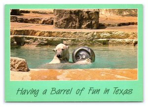 Having A Barrel Of Fun In Texas Continental View Postcard Polar Bear Brownsville