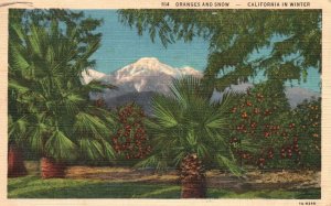 Oranges and Snow Winter Santa Ana California Calif Vintage Postcard 1936