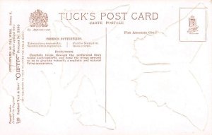 Foreign Butterflies Foreign Butterflies