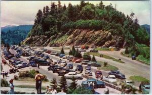 NEWFOUND GAP, TN Tennessee  View of  Lots of  c1940s, 50s  Cars  Postcard