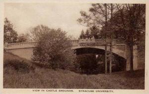 New York Syracuse University View In Castle Grounds Artvue