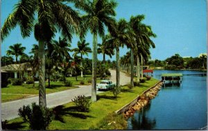 USA Delightful Tropical Florida Living Florida Chrome Postcard C006