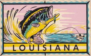 Louisiana Fishing Self Stick Postcard