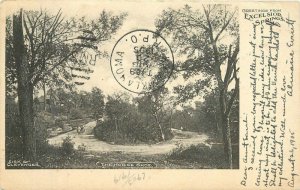 Missouri Excelsior Springs The Horse Shoe Sisk Clevenger 1905 Postcard 22-5584