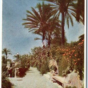 c1920s San Remo, Italy Hotel Royal Palm Trees Garden Path Bench Flowers A346