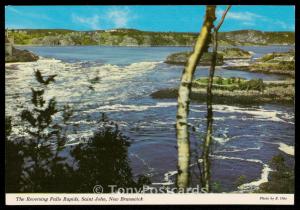 The Reversing Falls Rapids, Saint John, New Brunswick