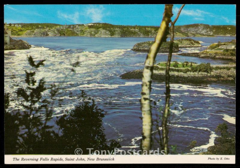 The Reversing Falls Rapids, Saint John, New Brunswick