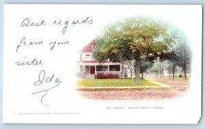 Michigan MI Postcard Mt Clemens Gratiot Avenue Cottages PMC 1900 Antique Vintage