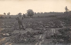 Watermelon Real Photo Unused 