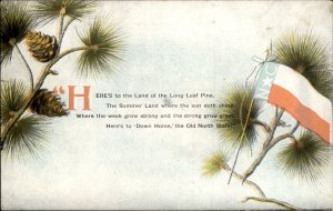 North Carolina Long Leaf Pine and Flag Down Home c1900-20s Vintage Postcard
