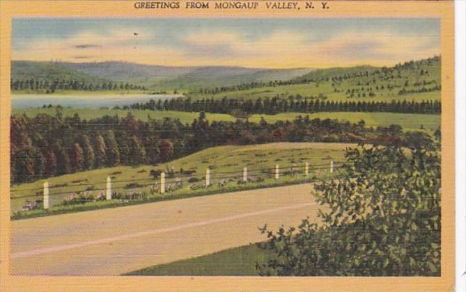 New York Greetings From Mongaup Valley 1943