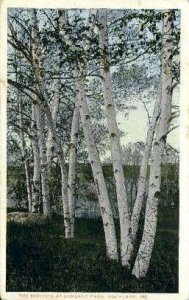 The Birches, Oakland Park in Rockland, Maine