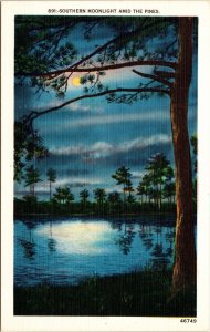 Southern Moonlight Amid Pines Night View Linen Postcard VTG UNP Vintage Unused 