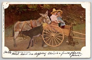 Donkey With Foal Feeding Cart Children 10 Minutes For Lunch  Postcard M29