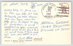 Animal~Deer In Autumn Wonderland~MA~Henry Fry Color~PM 1977~Chrome Postcard