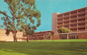 CA, San Diego  UNIVERSITY OF CALIFORNIA Campus On Torrey Pines  Chrome Postcard