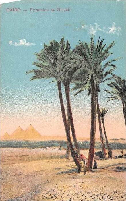 Egypt, Cairo -Pyramids at Ghizeh, palm trees in front.