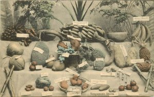 c1907 Hand-Colored Postcard; Labeled Assortment of Singapore Fruits, unposted