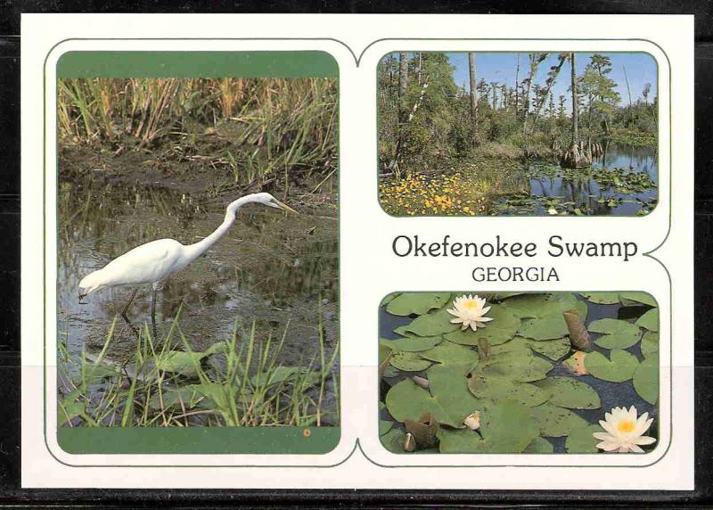 Georgia, Great Okeefenokee Swamp (USVC 0819)