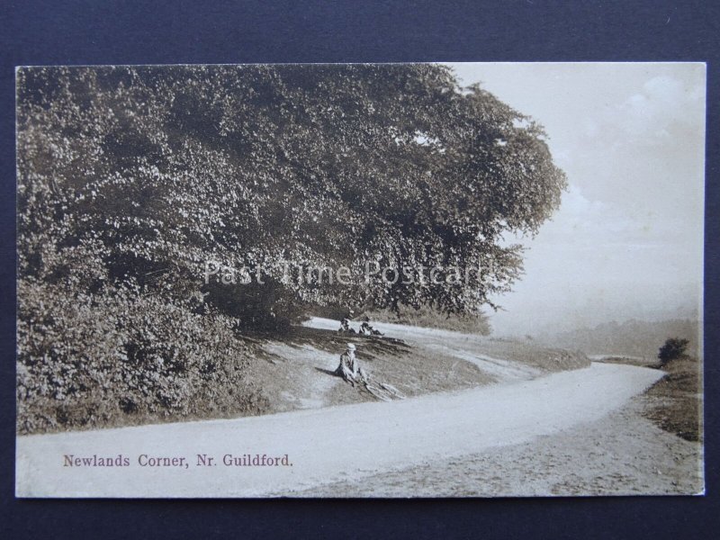 Surrey GUILDFORD Newlands Corner - Old Postcard by Boots Pelham Series