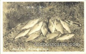 Black Bass, Alexandria, Minn, USA Fishing Real Photo Unused light crease righ...