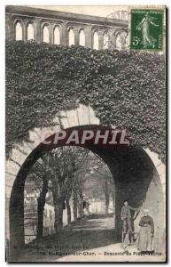 Postcard Old St Aignan Sur Cher Cow Downhill Gold shower