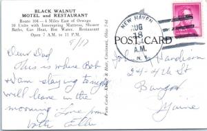 OSWEGO, New York  NY    Roadside  BLACK WALNUT MOTEL  1964    Postcard