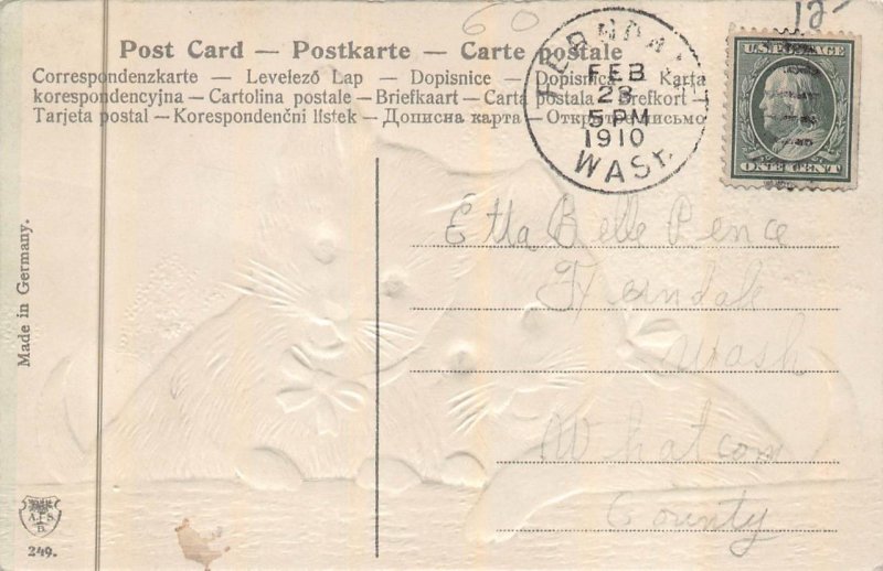CATS FERNDALE WASHINGTON EMBOSSED POSTCARD 1910