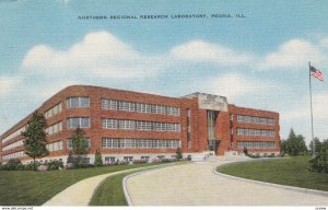 PEORIA, Northern Regional Research Laboratory, Illinois, 30-40s