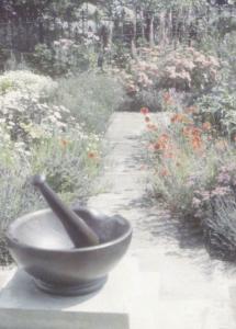 The Antique Weather Sundial in the Physio Garden Hitchin Hertfordshire Postcard