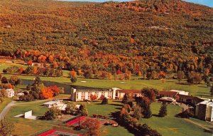 The Fallsview Hotel, Ellenville, New York, unused postcard