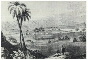 Vintage Drawing View of Oahu Ali'i Old Hawaii Postcard