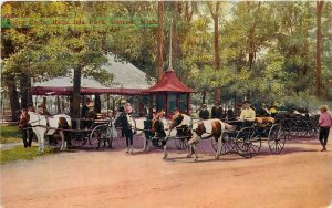 c1910 Detroit Michigan Pony Cart Belle Isle Park Horse Postcard 25-11309
