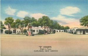 NM, Carlsbad, New Mexico, D Courts, US 285, US 62, Cavern City Camera Shop