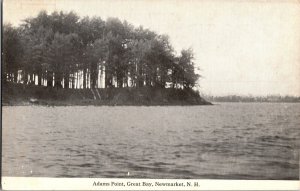 View of Adams Point, Great Bay, Newmarket NH Vintage Postcard M69