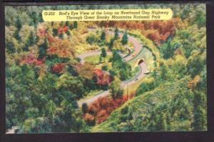 Newfound Gap Highway,Great Smoky Mountains Postcard 