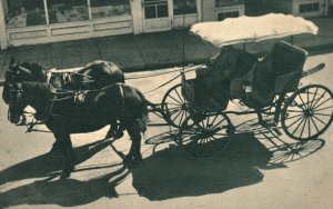 Vintage Postcard The Fringe Surrey Horse Carriage Mackinac Island Michigan MI